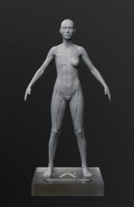 Ana Gris Front 1