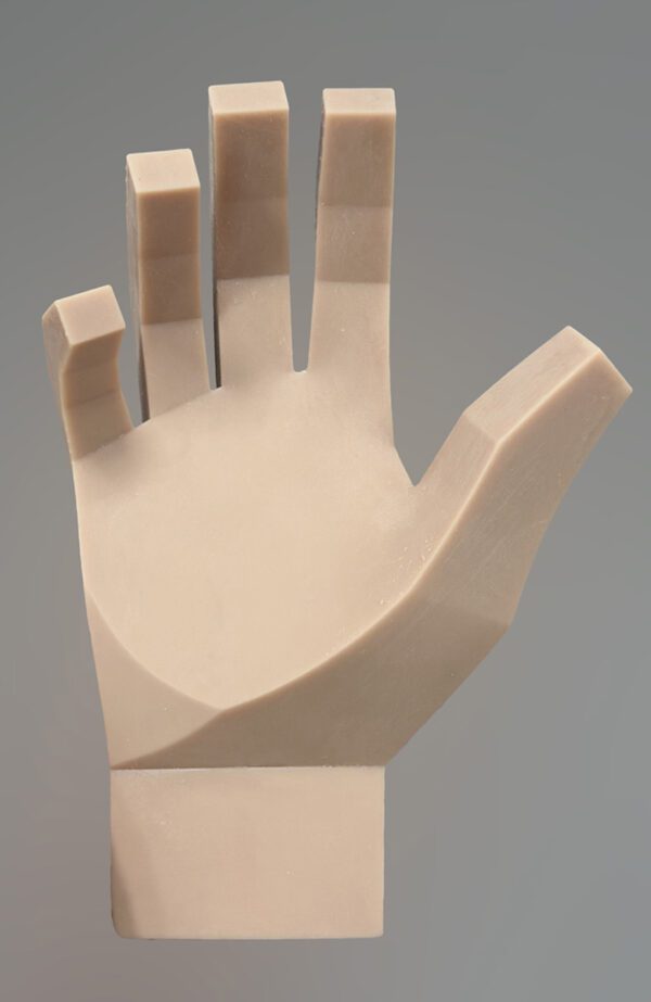 Modelo Anatómico de Mano para Artistas. - Imagen 2
