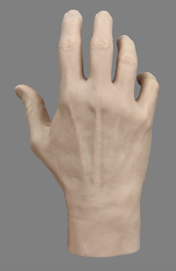 Modelo Anatómico de Mano para Artistas.