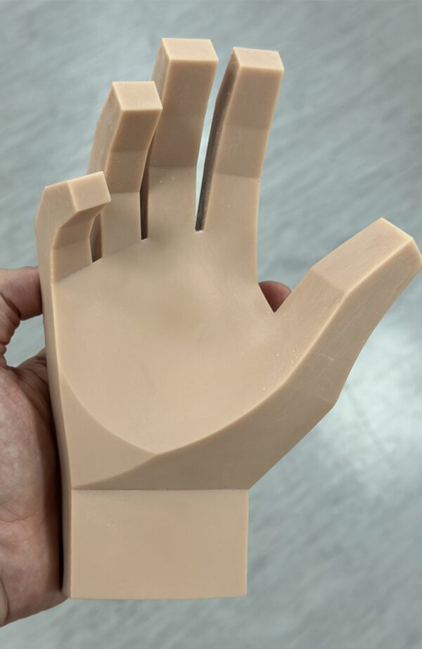 Modelo Anatómico de Mano para Artistas. - Imagen 4