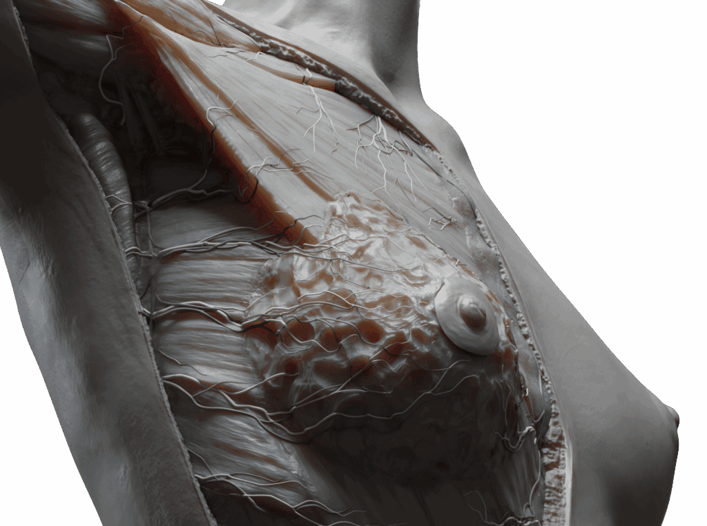 Home 18 Torso copy