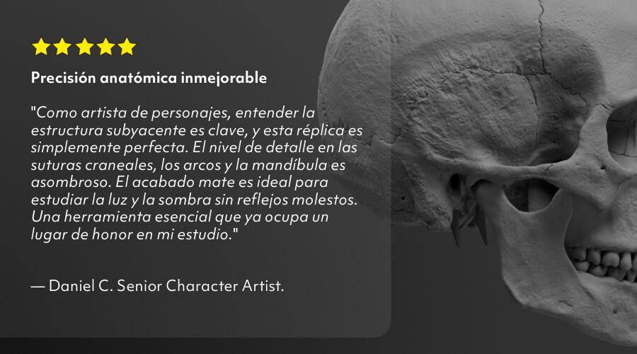 Home 4 Valoracion_Skull