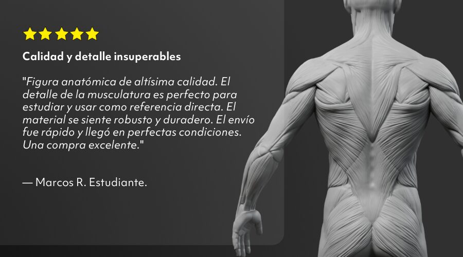 Home 3 Valoracion_Tom