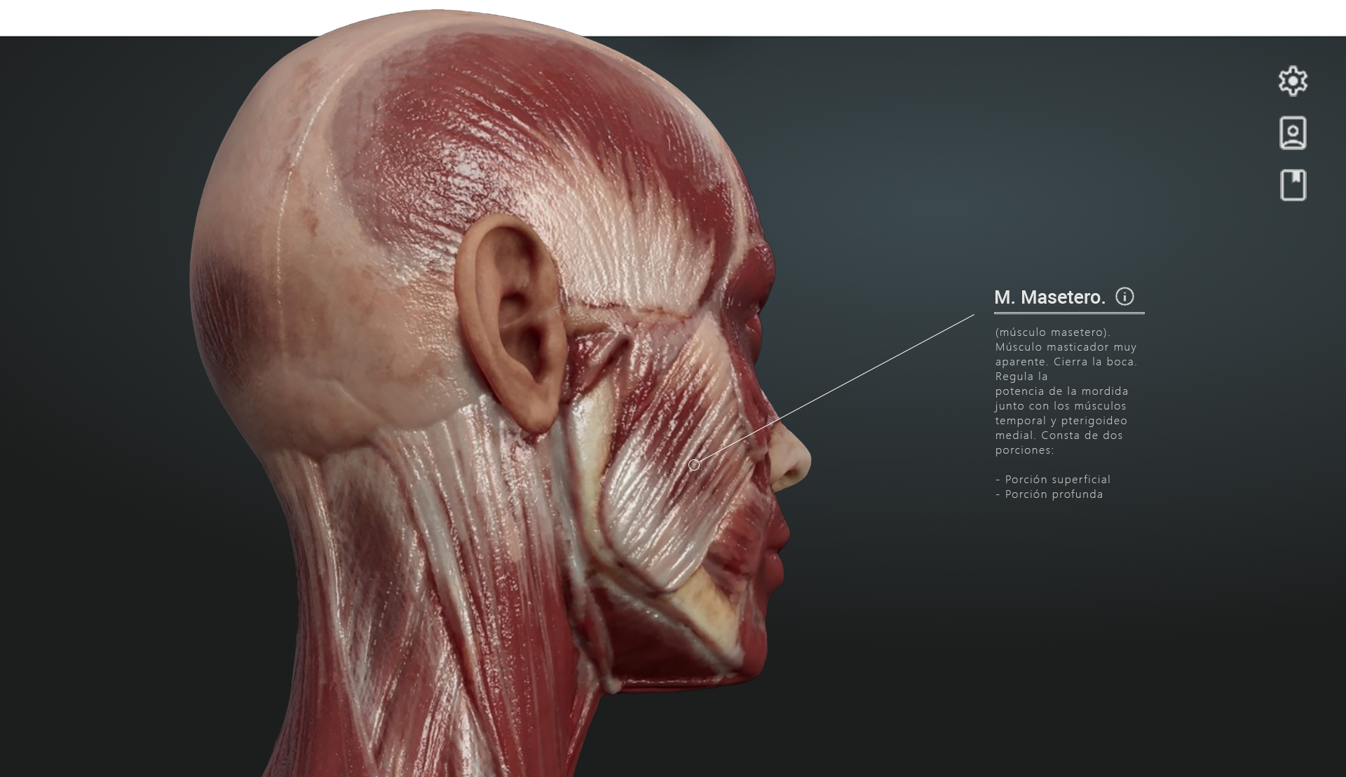 pFlnO2md Fondo ANA 02 copy